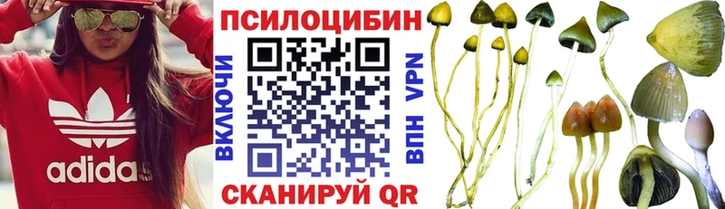 Галлюциногенные грибы Psilocybe  кракен маркетплейс  Коломна 
