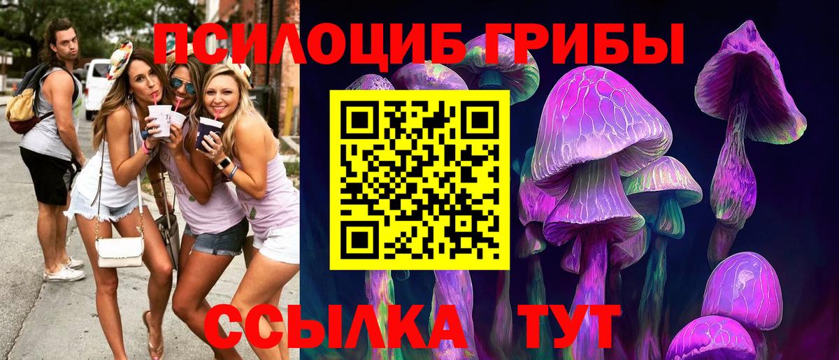 Коломна  Псилоцибиновые грибы MAGIC MUSHROOMS  Галлюциногенные грибы GOLDEN TEACHER  Вход с VPN 
